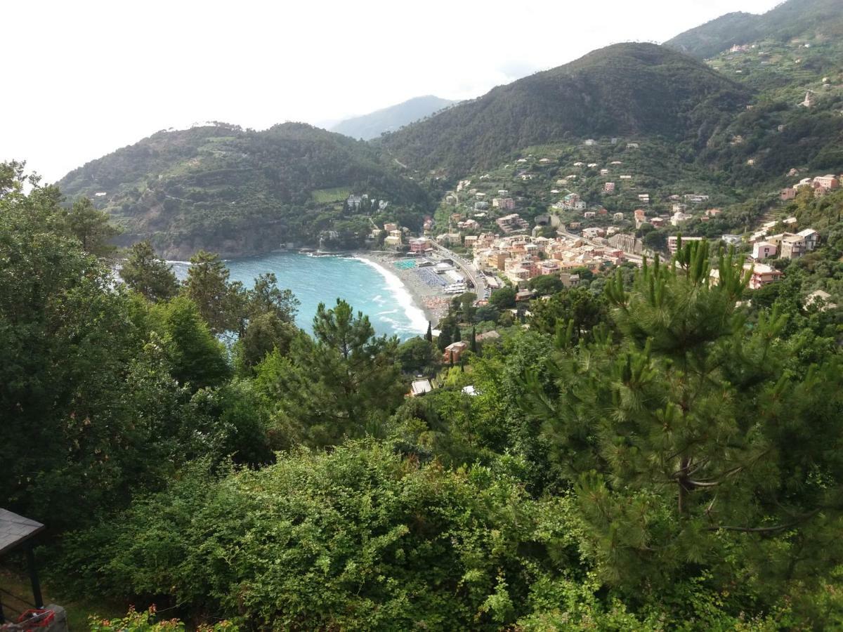 Apartamento Casa Cinzia Bonassola Cinque Terre Exterior foto